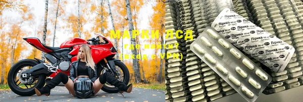 сатива Нефтекумск