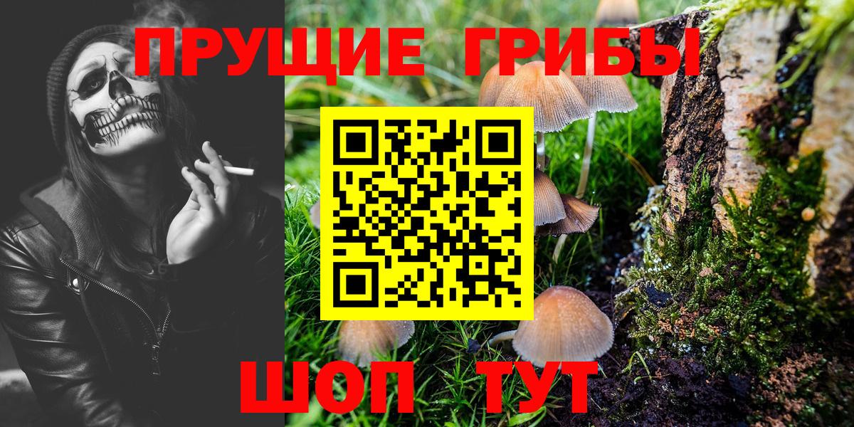 Псилоцибиновые грибы мухоморы  Вход с VPN  Березники 