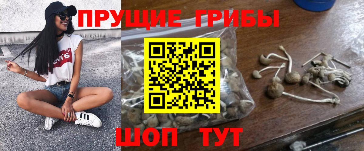 Псилоцибиновые грибы Cubensis  Березники  наркота  Псилоцибиновые грибы ЛСД 